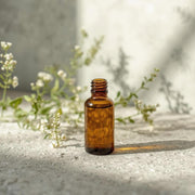 EISENKRAUT Duftöl 10 ml | Frischer, zitroniger Duft für Vitalität