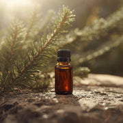 KIEFERNNADEL - ätherisches Öl 100% naturrein 10 ml