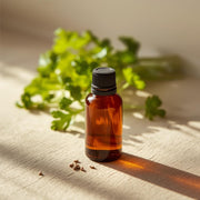KORIANDER - ätherisches Öl 100% naturrein 10 ml