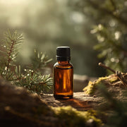 LATSCHENKIEFER - ätherisches Öl 100% naturrein 10 ml