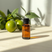 LIMETTE - ätherisches Öl 100% naturrein