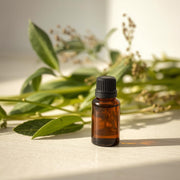 MELISSE INDICUM (indisch) - ätherisches Öl 100% naturrein