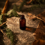 PATCHOULI Duftöl 10 ml | Sinnlich-erdiger Duft für Ruhe & Balance