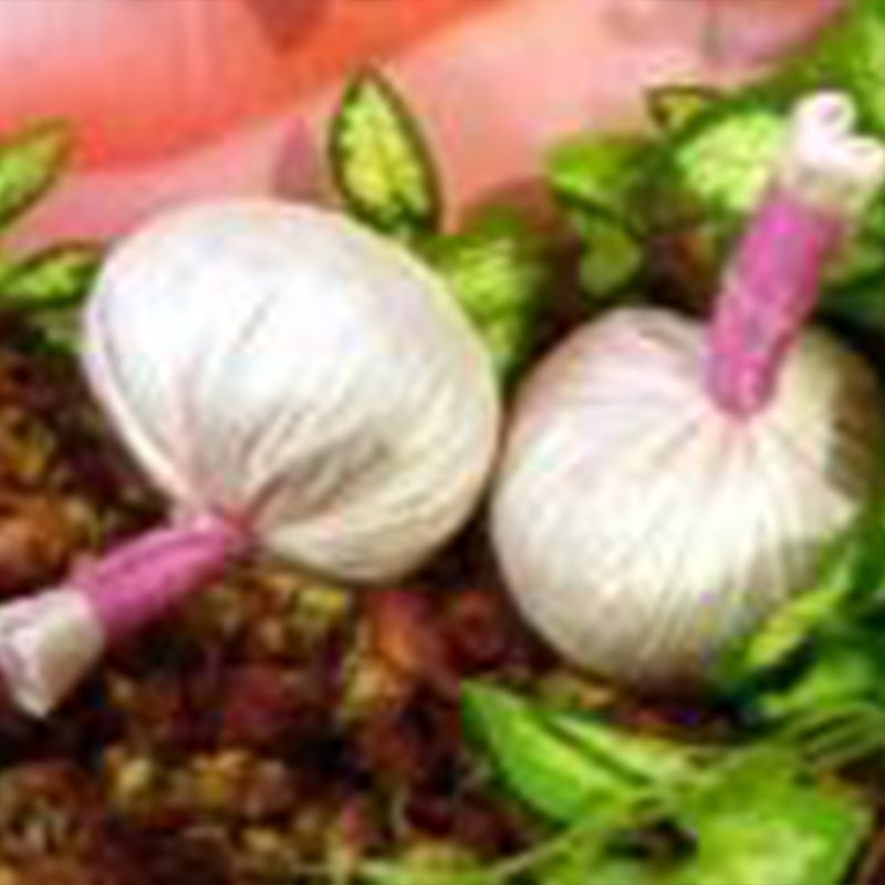 DIY Seidenmassagestempel ROSE- Vorteilspack